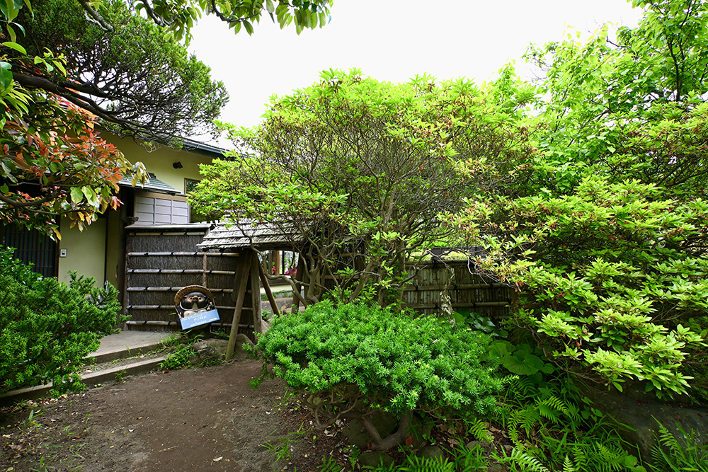 鎌倉市景観重要建築物「篠田邸」にオープン